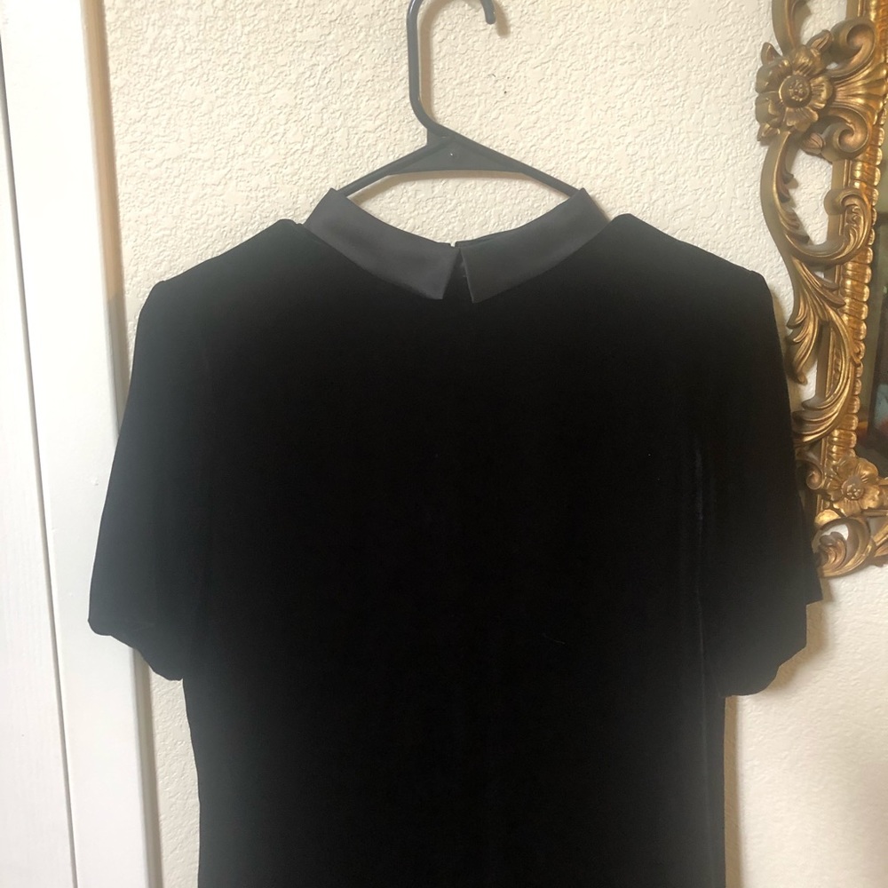Velvet black Peter Pan collar dress